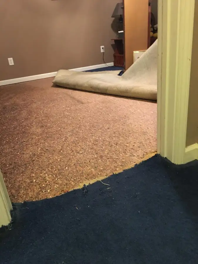 Carpet pad removal revealing water damage during Water Mitigation Services in Normandy Park