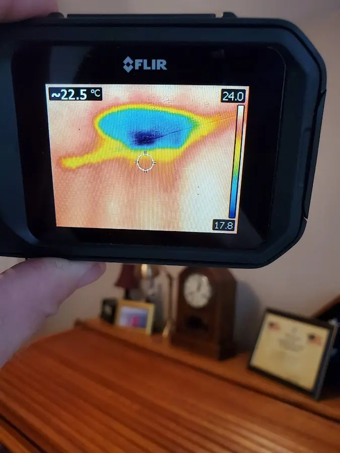 Thermal imaging inspection for water damage in Normandy Park