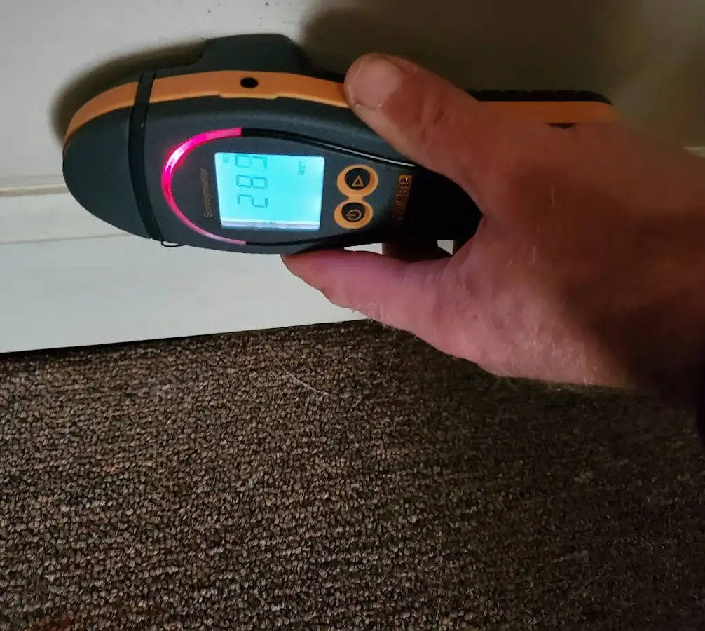 Moisture detection at baseboard during Sewage Cleanup & Sanitation in Normandy Park